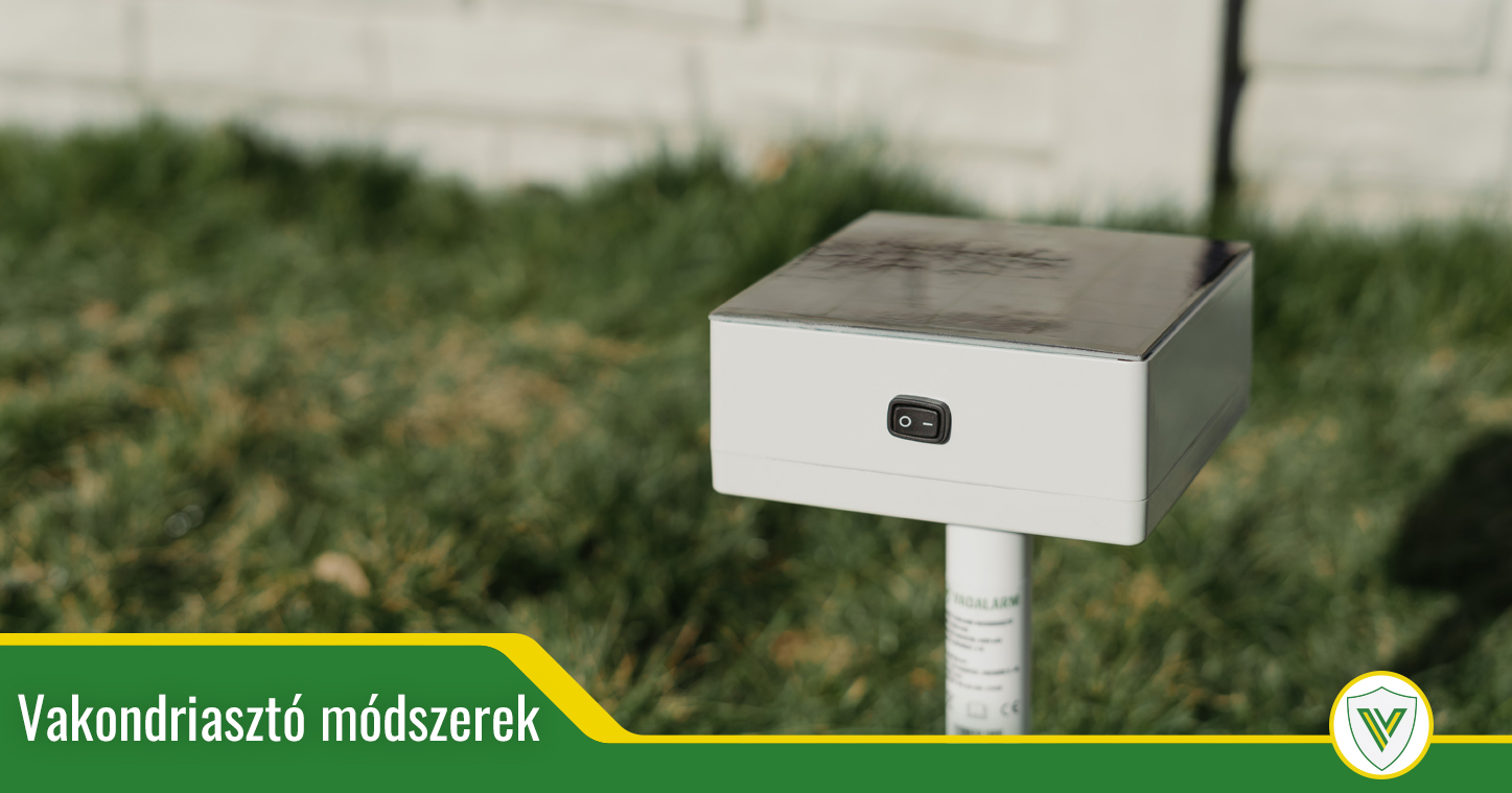 Íme, itt a legjobb módszer a vakondok elűzésére!