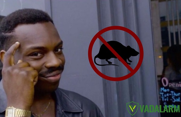 Az 5 leggyakoribb félreértés a rágcsálóriasztókról