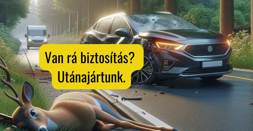 Milyen biztosítás fizet vadkár esetén?