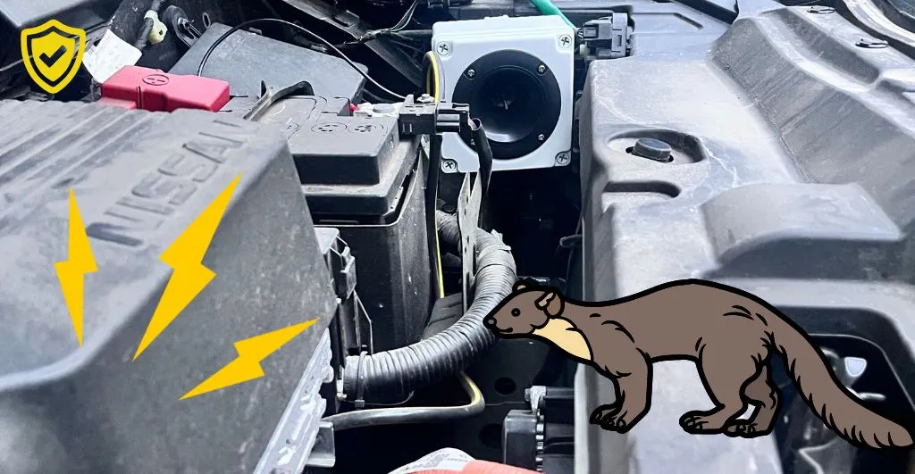 Wie sehr lieben die Marder Elektroautos?