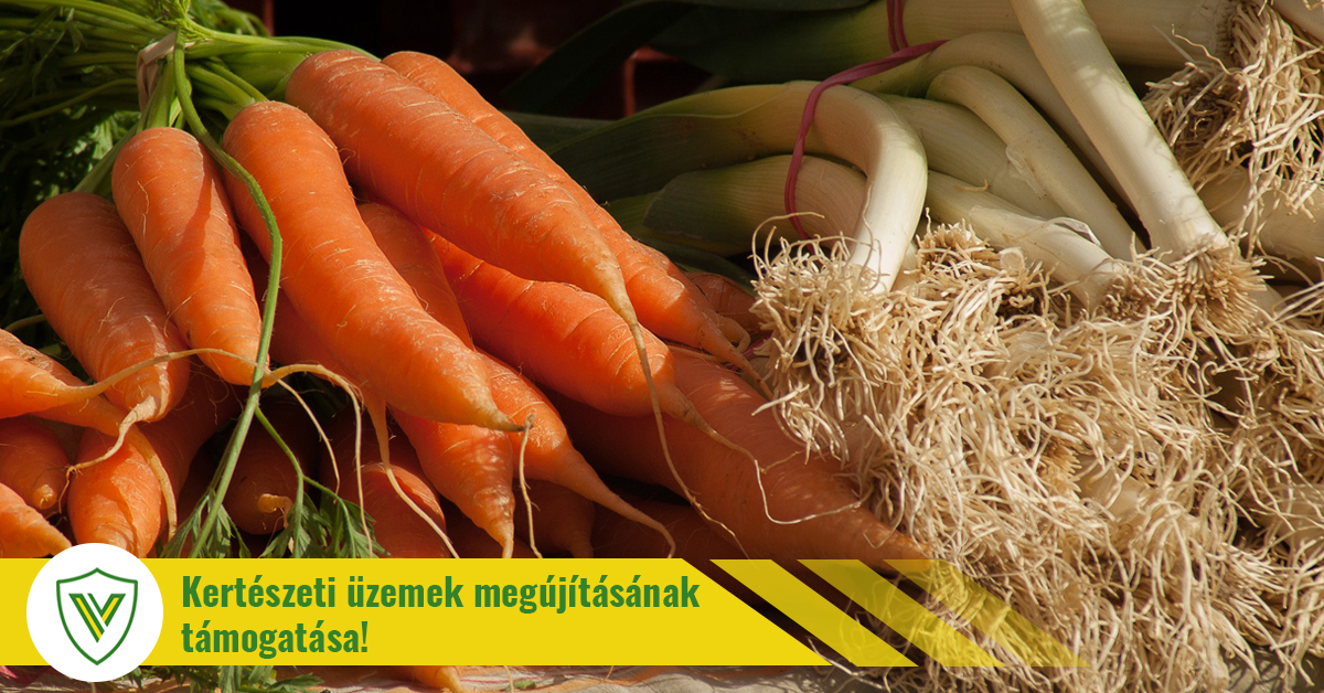 Add le a pályázatot és vegyél Vadalarm Távfelügyelt Villanypásztorrendszert!